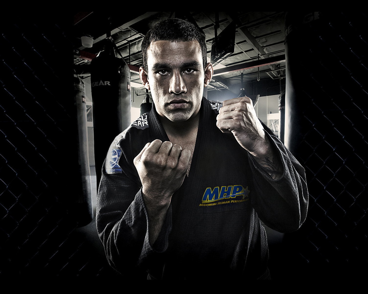 UFC Боец Хосе Альдо