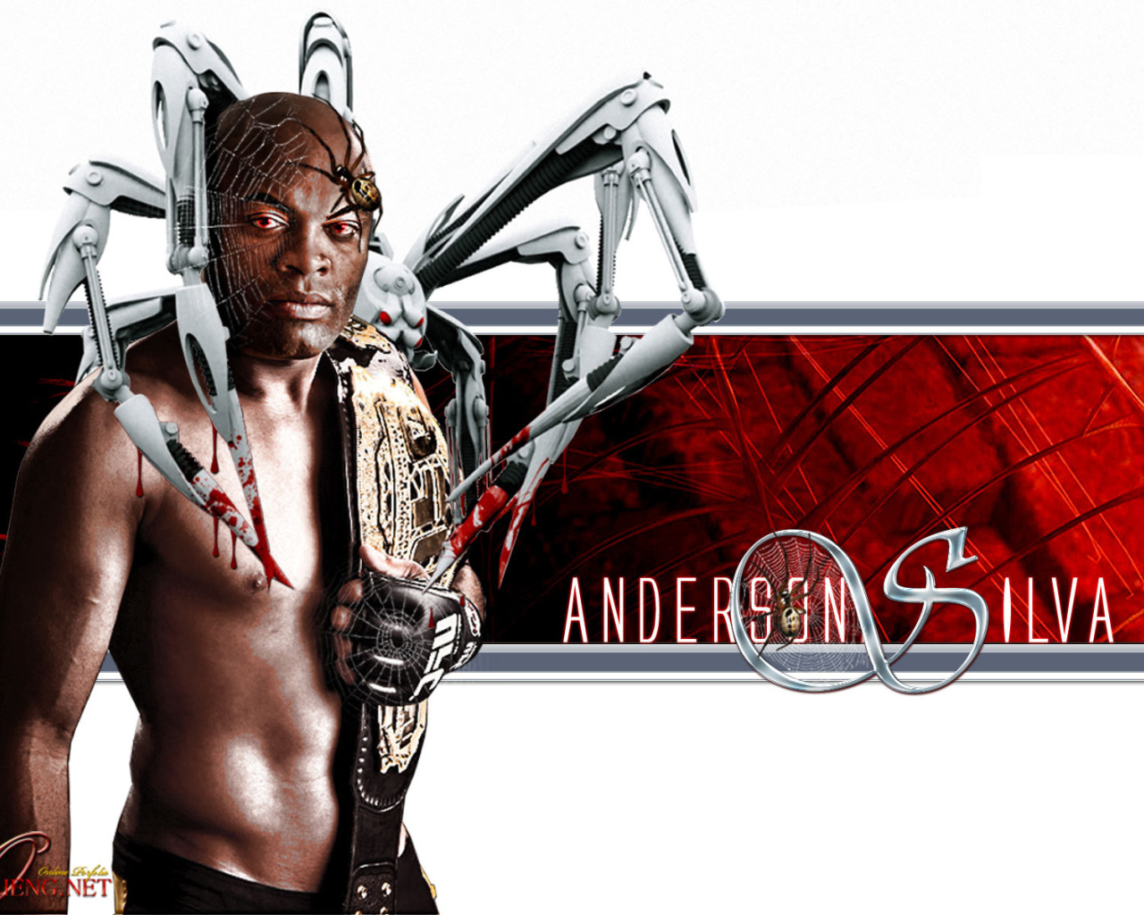 Известный UFC боец Андерсон Силва. Паук