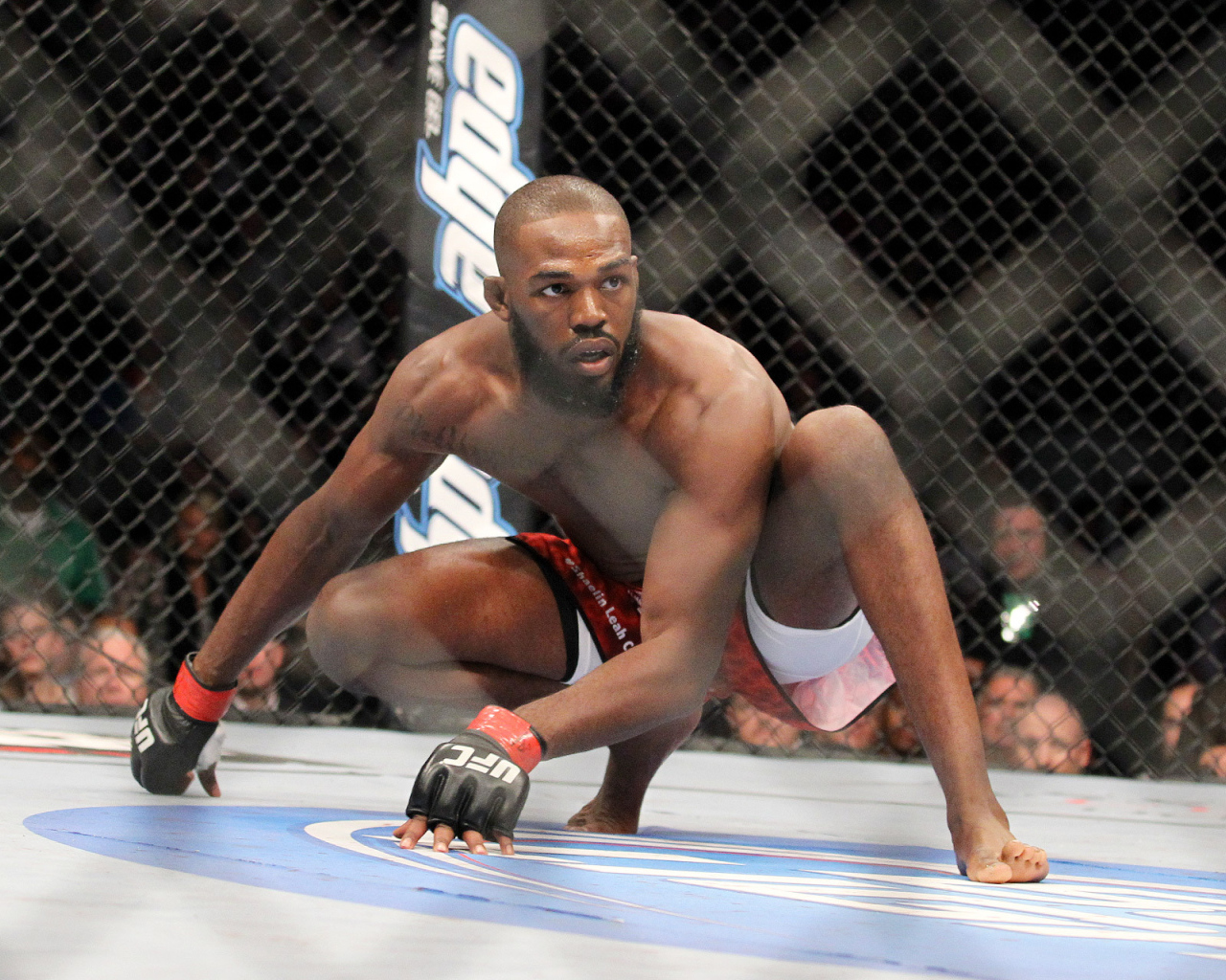 Воин УФЦ Джон Джонс