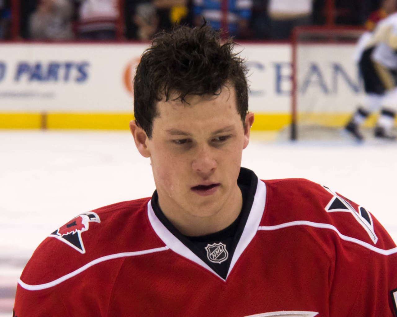 Известный Хоккеист Джефф Скиннер