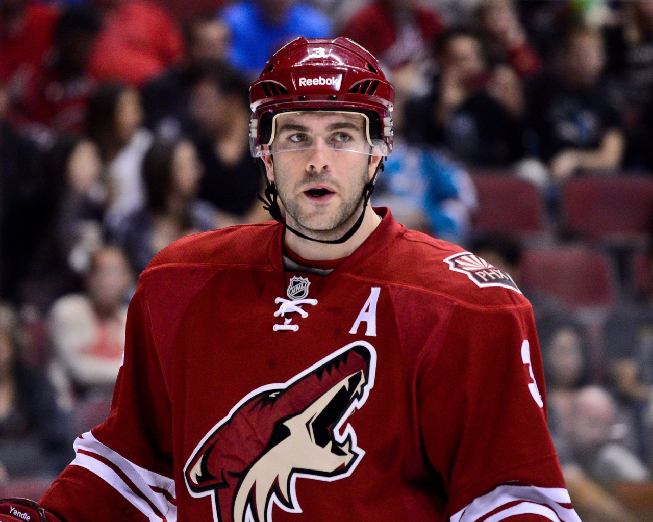 Известный Хоккеист Кейт Яндл