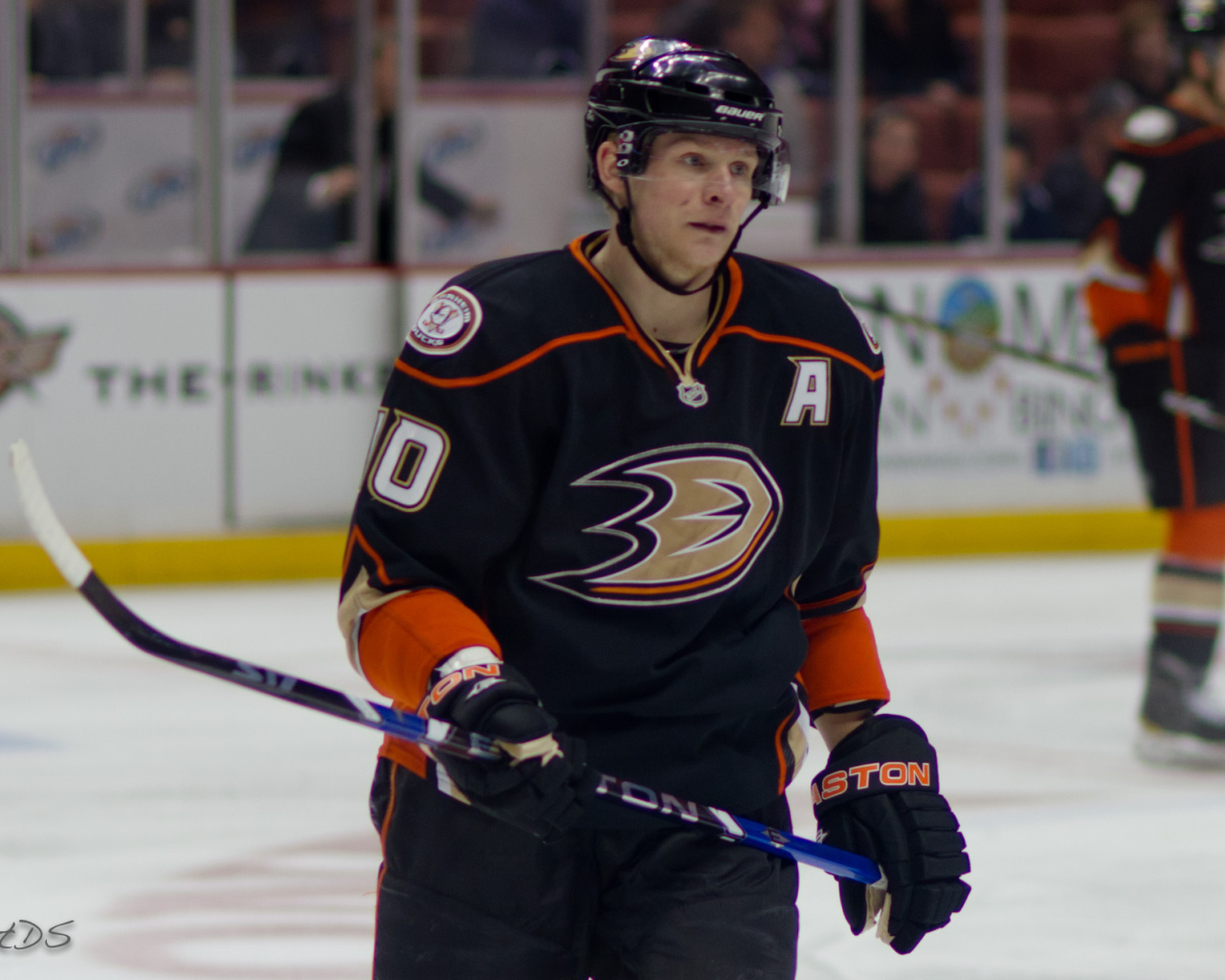 Популярный Хоккеист Кори Перри