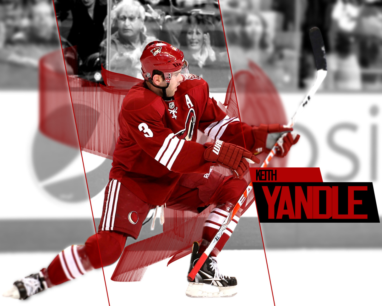 Популярный Хоккеист Кейт Яндл