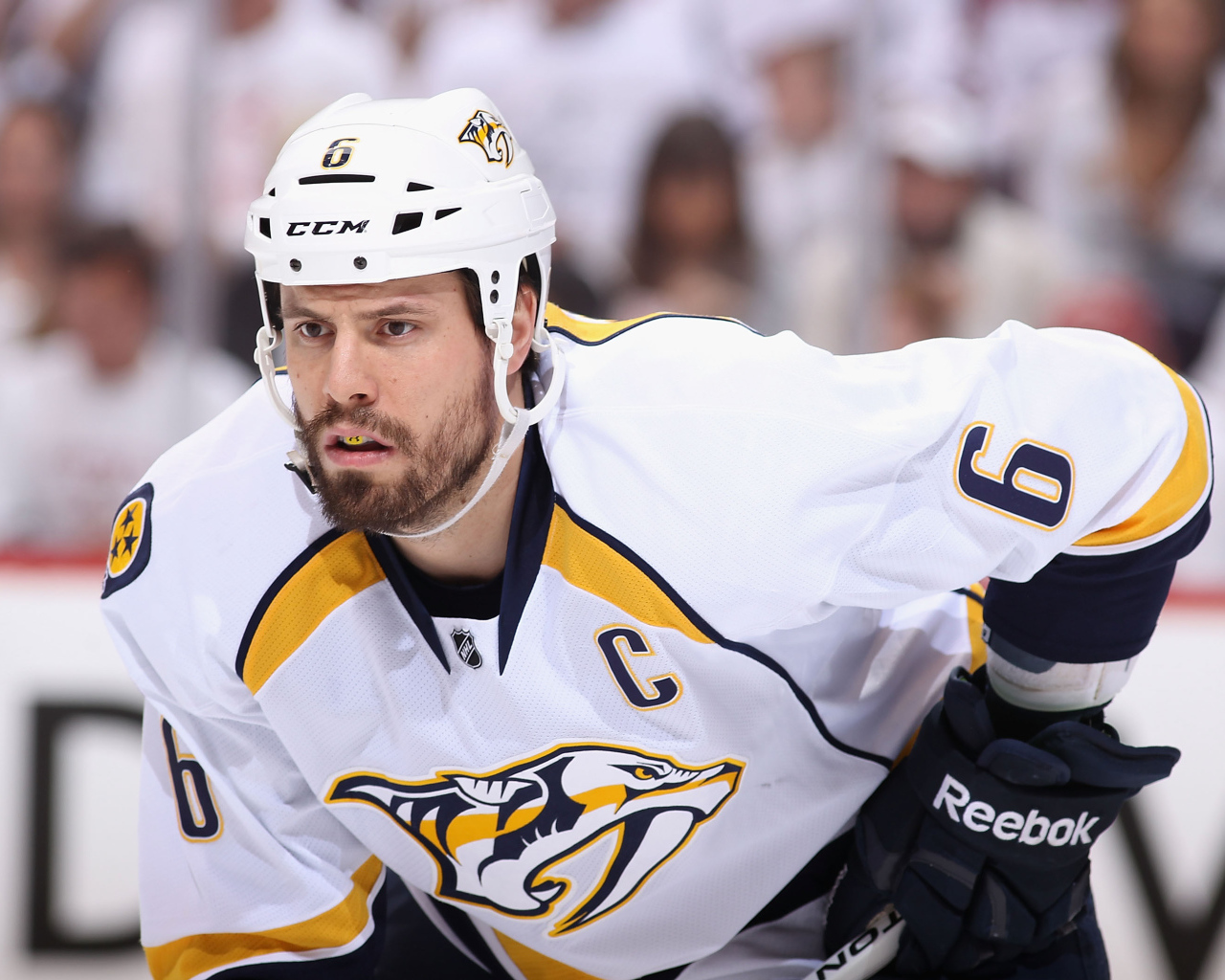 Ши Уэбер на льду