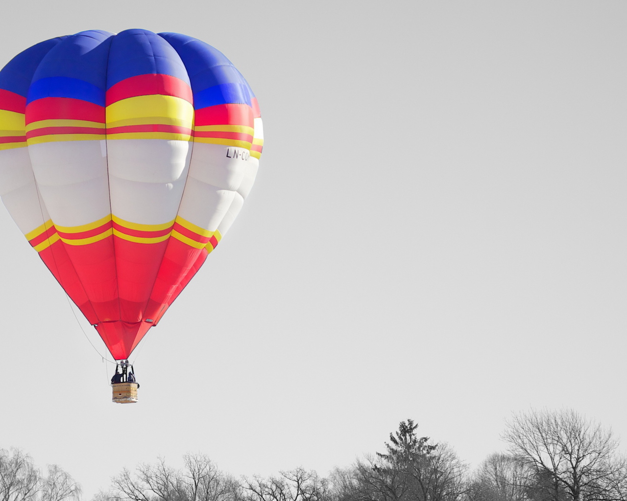Воздушный шар над деревьями