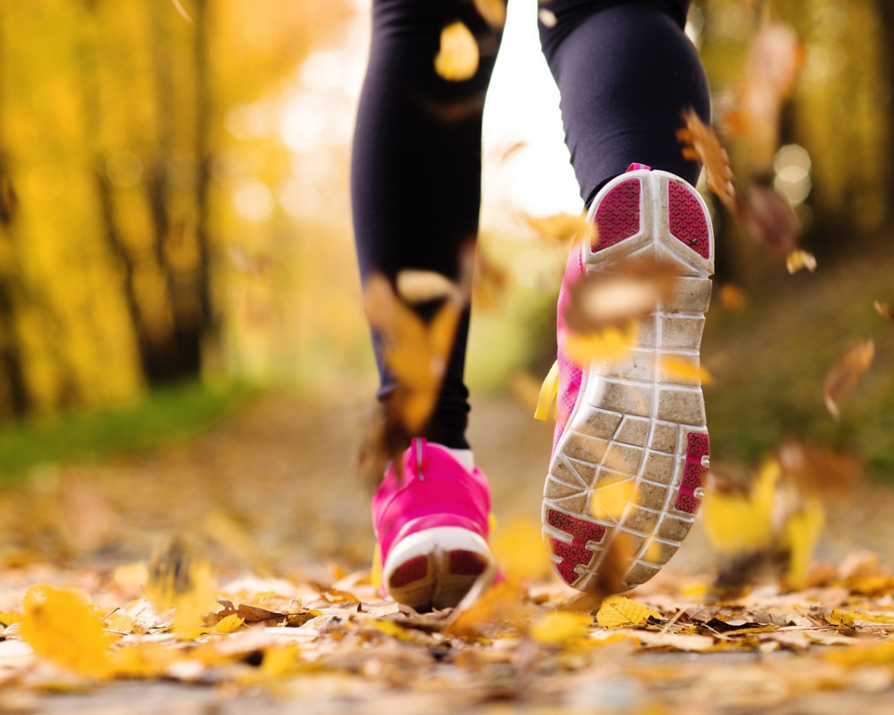 Утренняя пробежка в парке