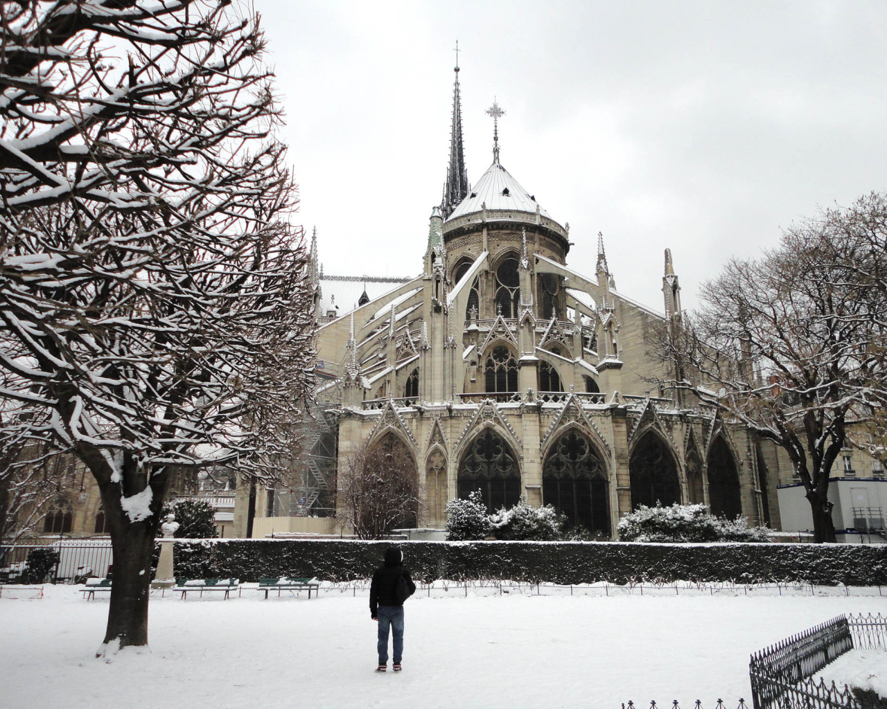 Снег в Париже Собор Парижской Богоматери
