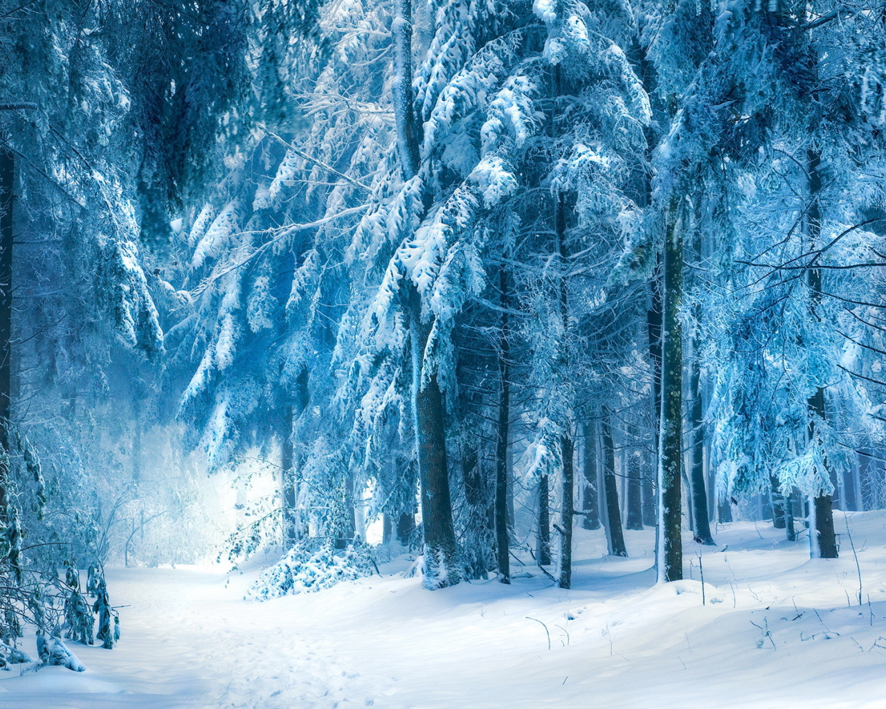 Голубой зимний лес