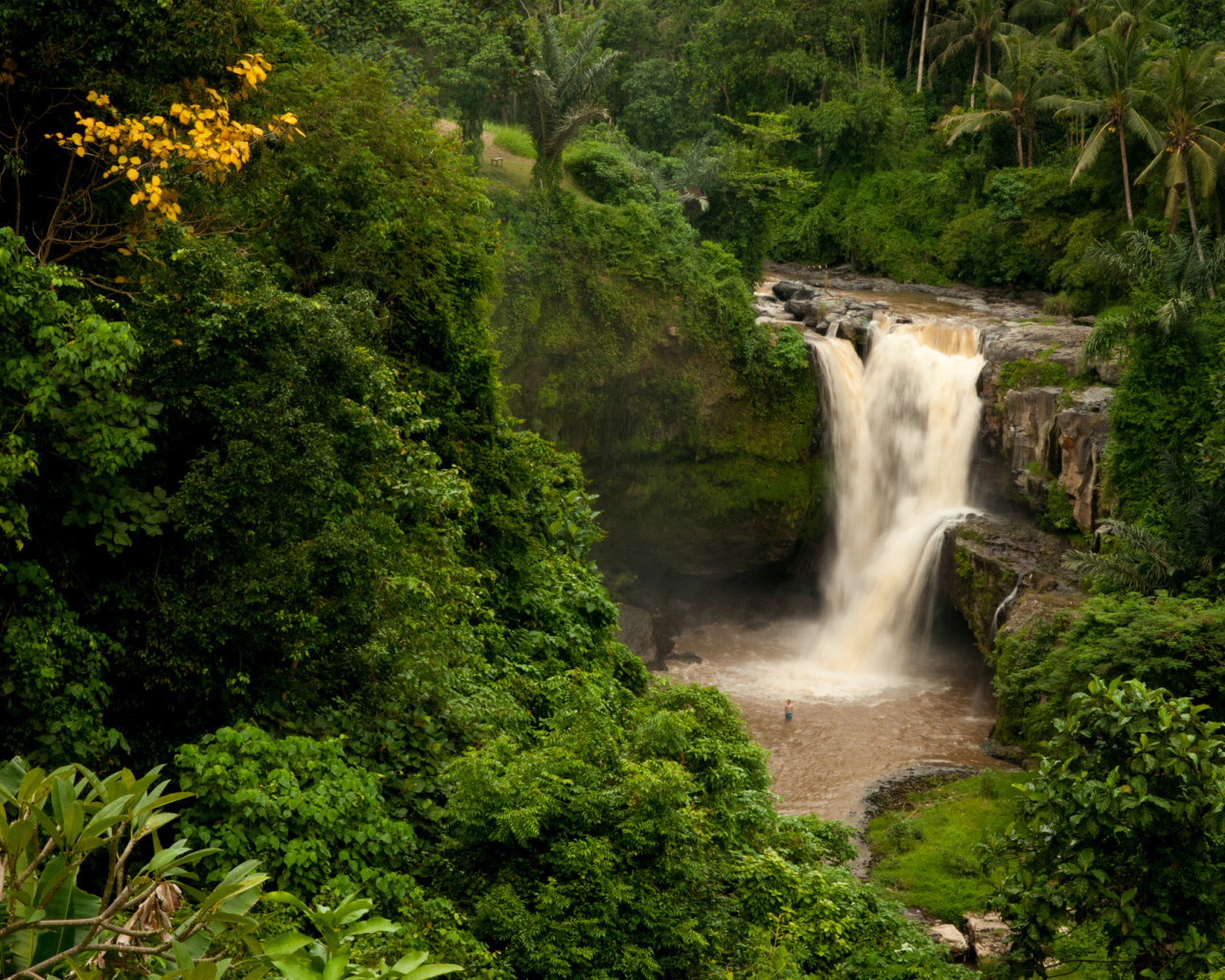 Водопад в джунглях Бали