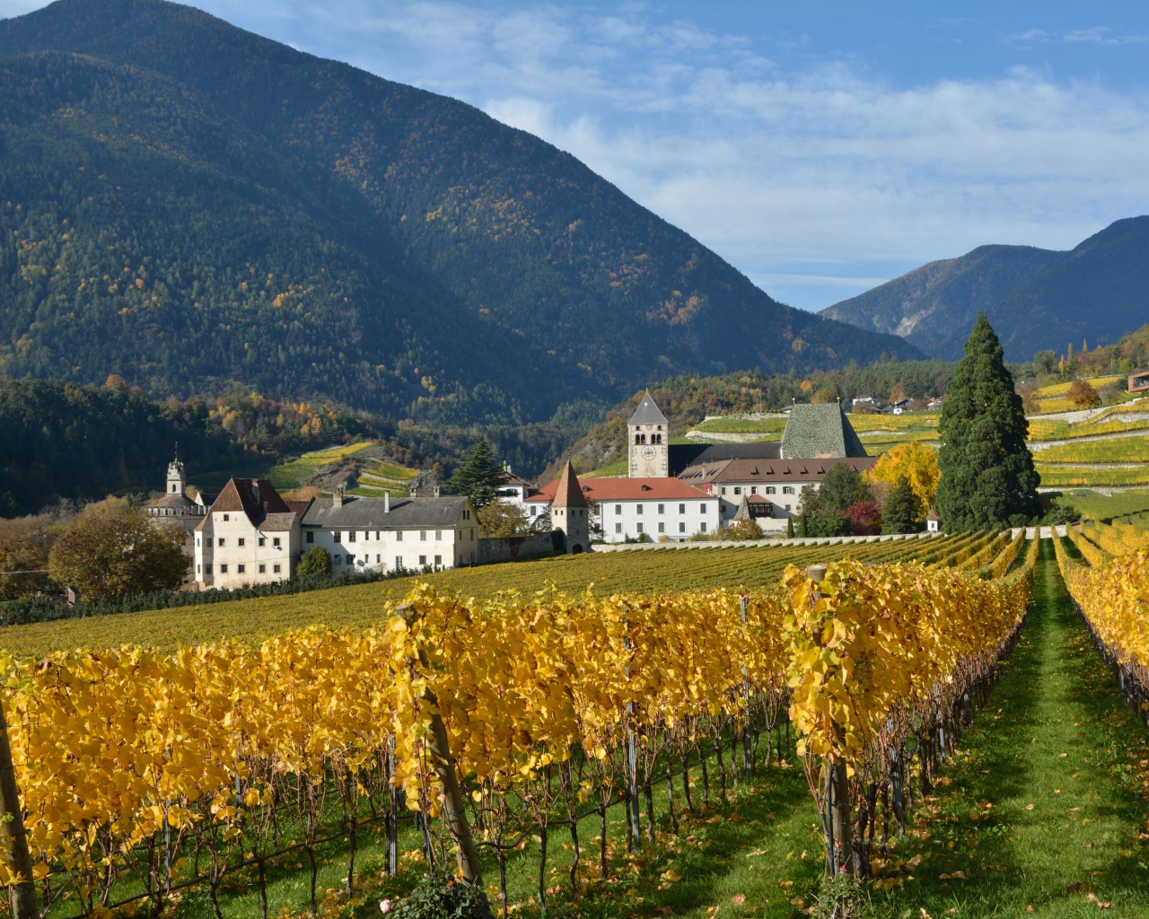 Поля в окрестностях города Нойштифт, Австрия