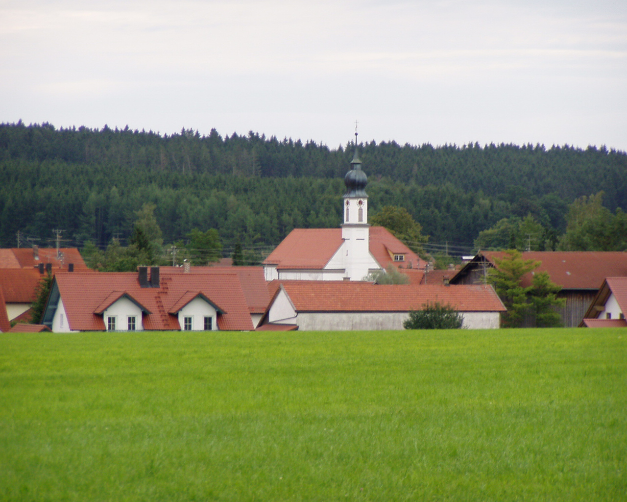 Зеленый луг в городе Лэнгенфельд, Австрия
