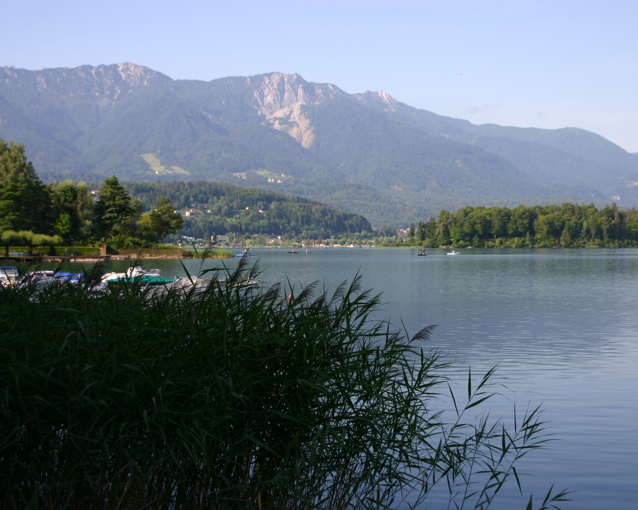 Камыши на озере на курорте Фаакер-Зее, Австрия