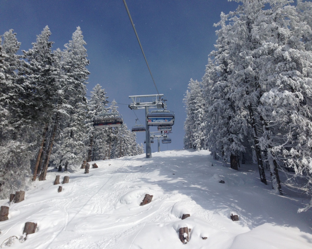 Заснеженные деревья на горнолыжном курорте Заальбах Хинтерглем, Австрия