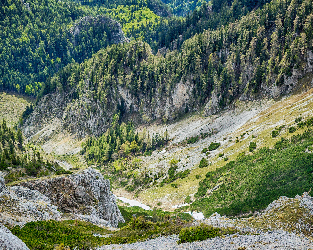 Южный склон Шнееберг, самая высокая гора Нижней Австрии