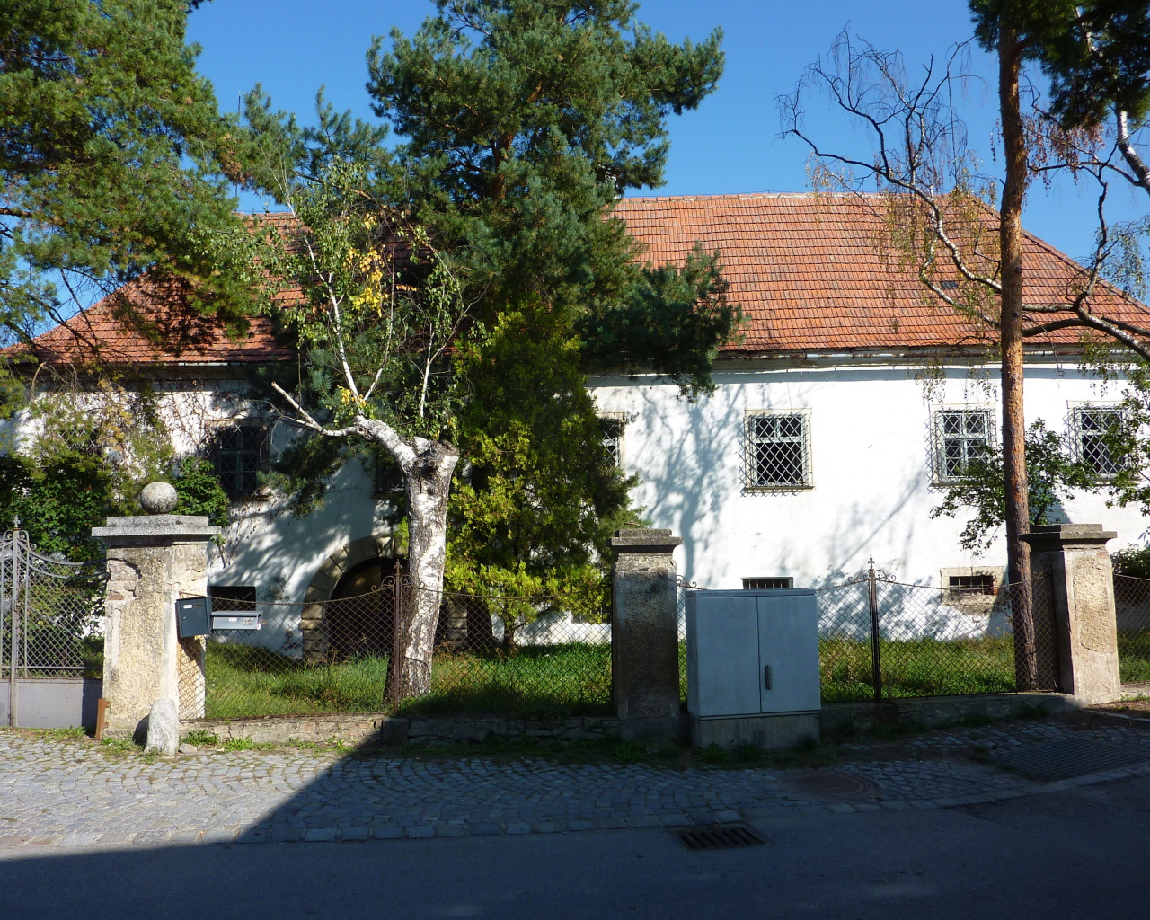 Дерево у дома в городе Лэнгенфельд, Австрия