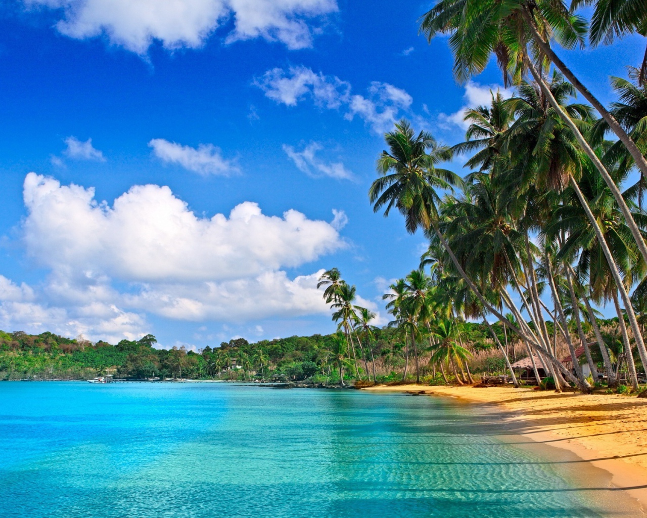 Удивительная картина Барбадоса пляжа