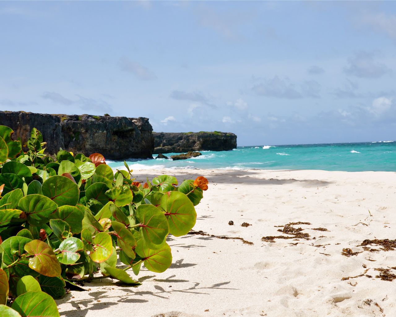 Восхитительный вид на пляж в Барбадосе