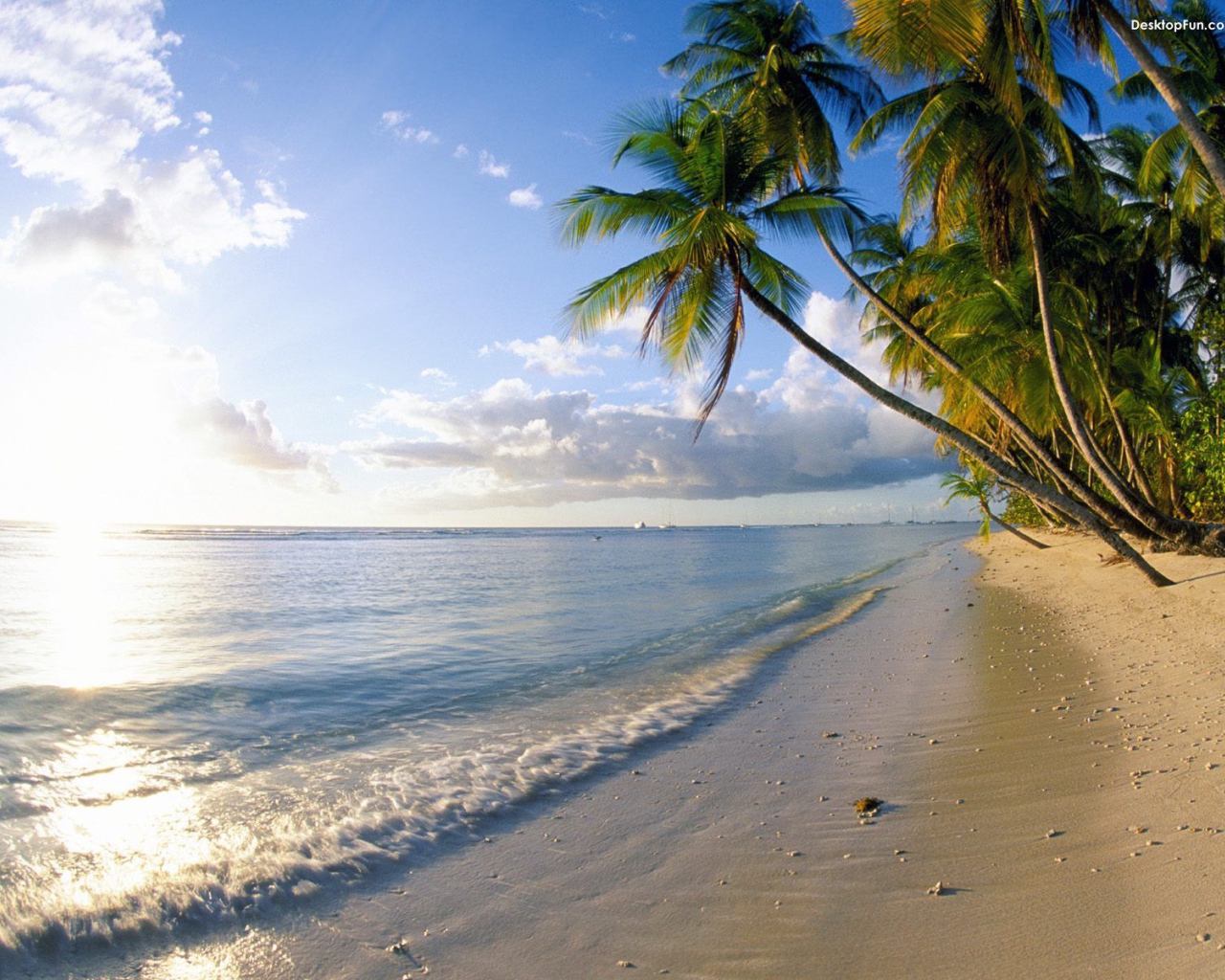 Знаменитый пляж Барбадоса