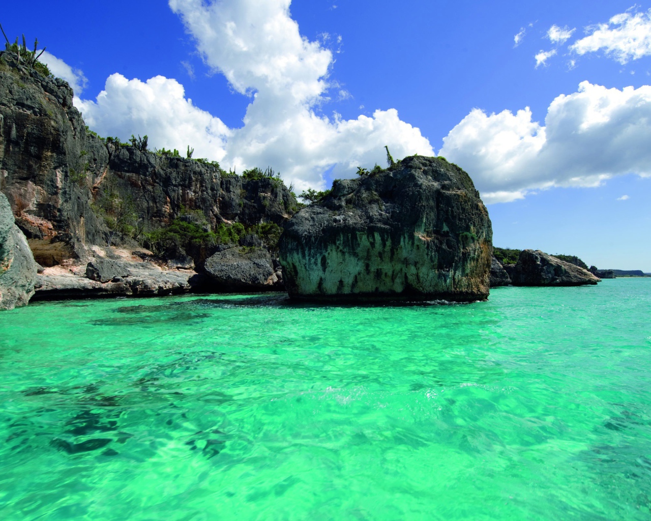 Зеленая вода в Барбадосе 