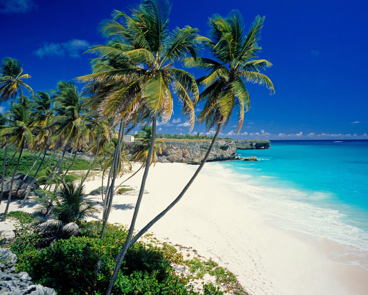 Солнечный берег в Барбадосе