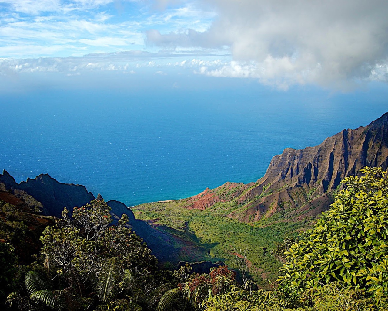 Ландшафт Барбадоса