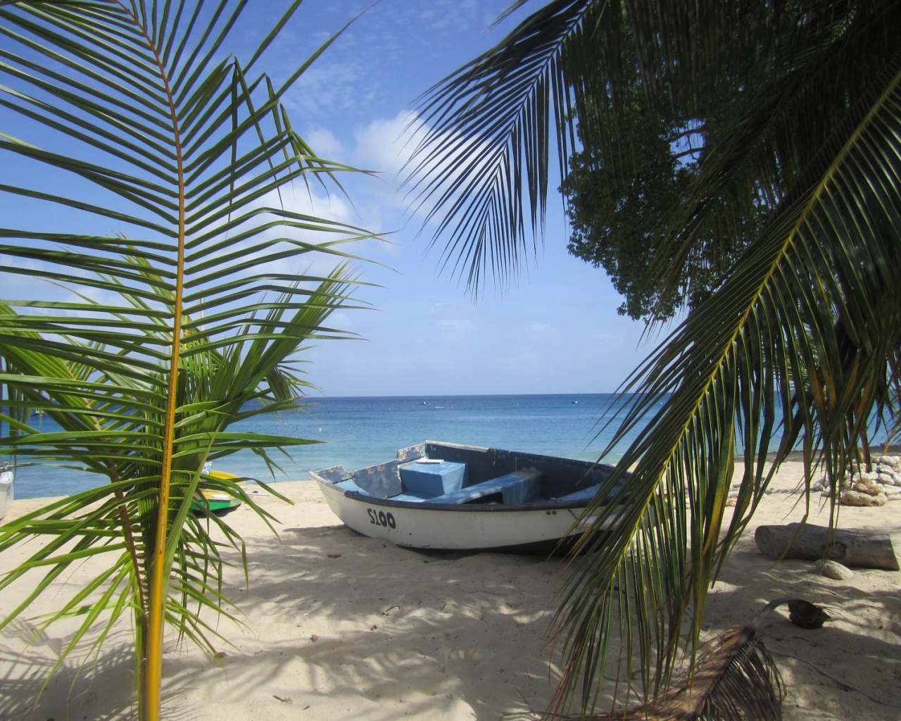 Белая, лодка в Барбадосе