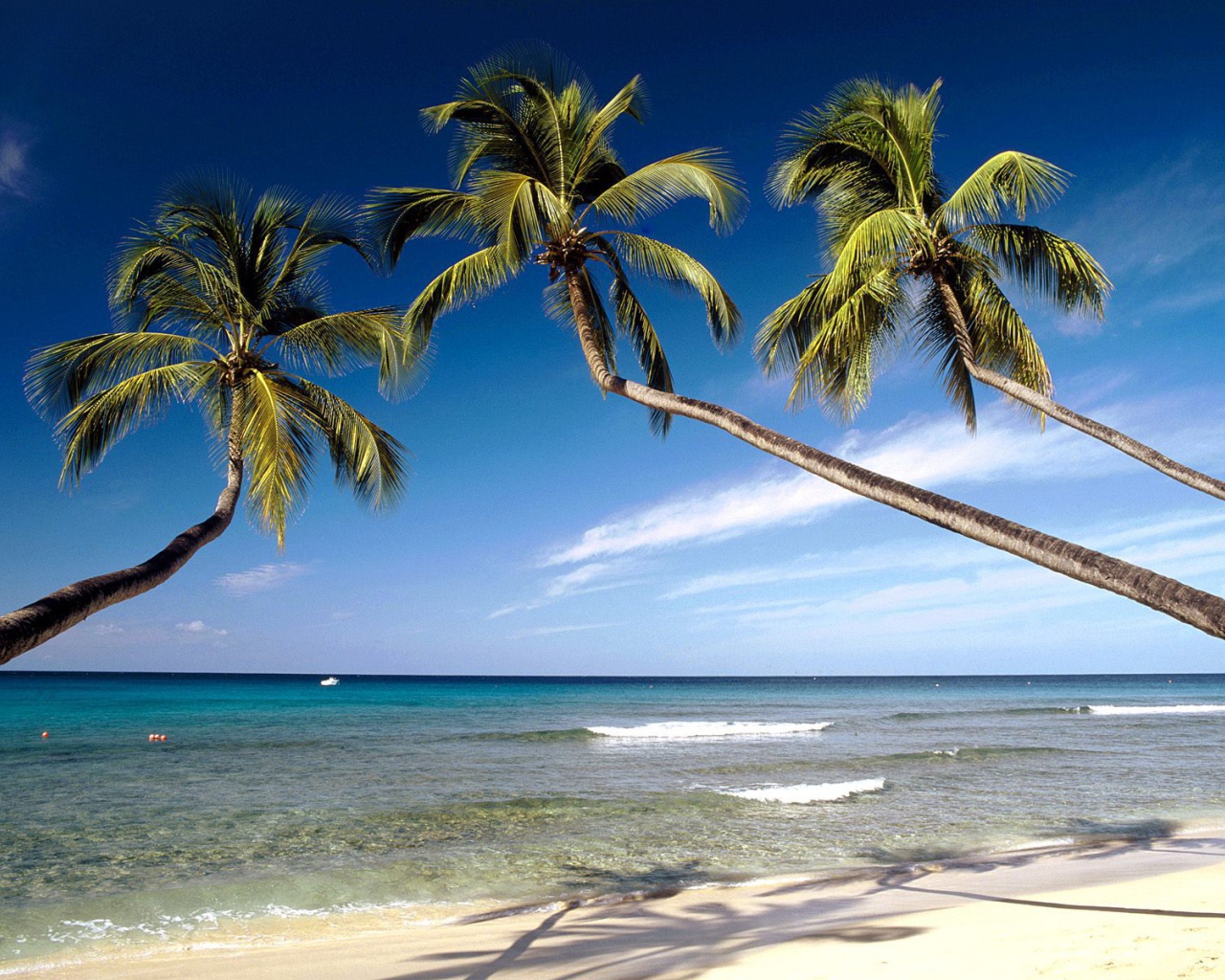 Красивое Барбадос