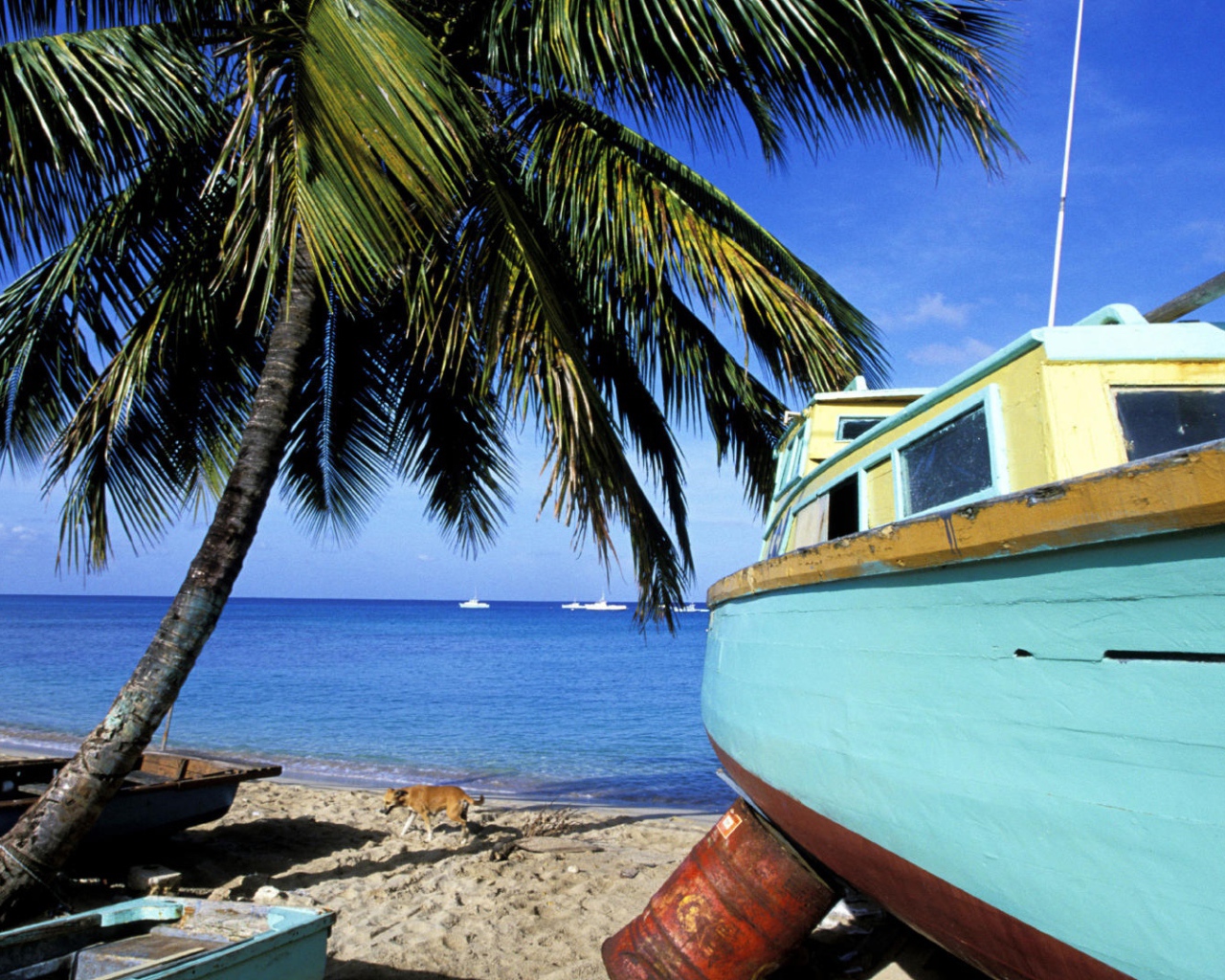 Впечатляющие Барбадос