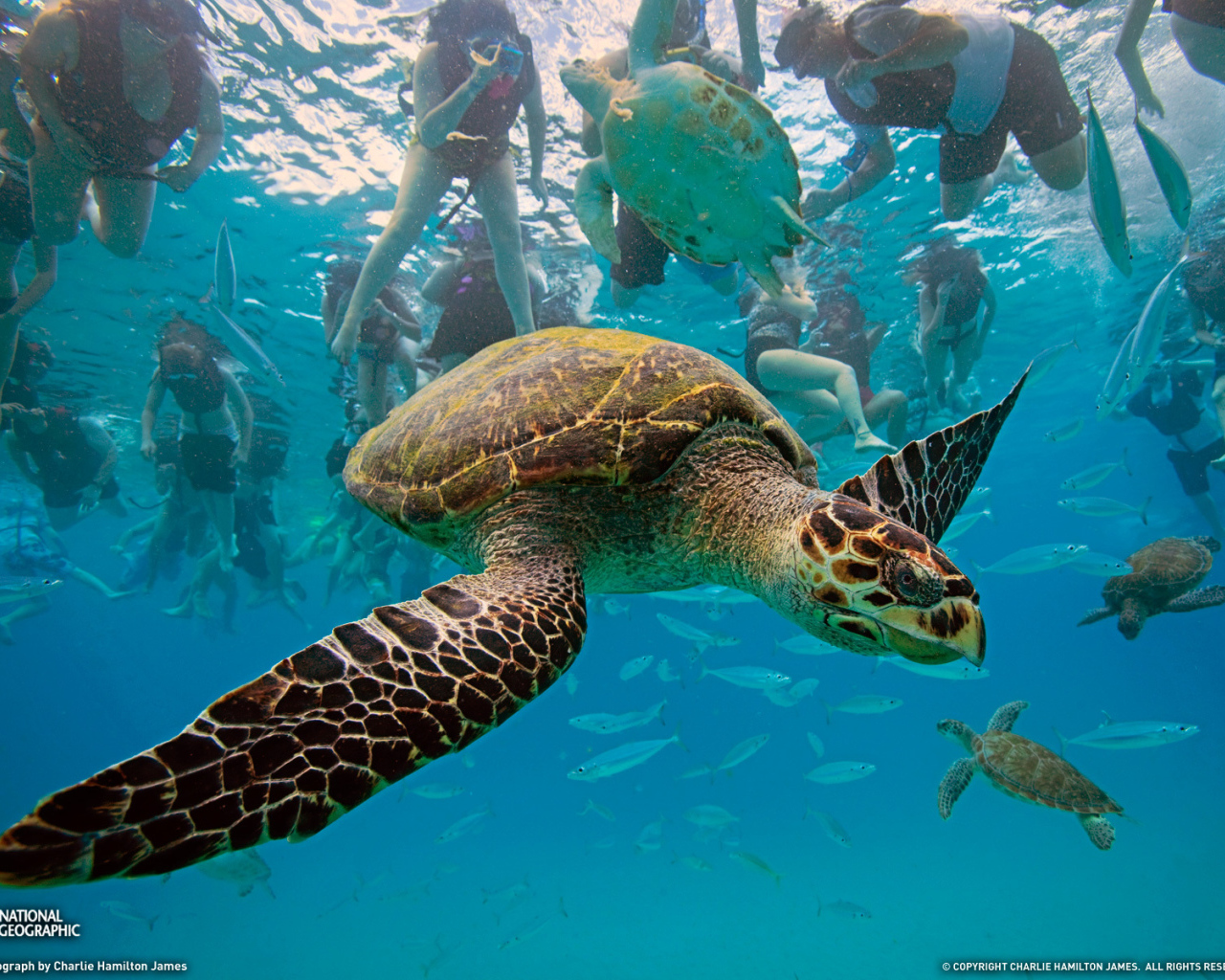 Туристическое место в Барбадос