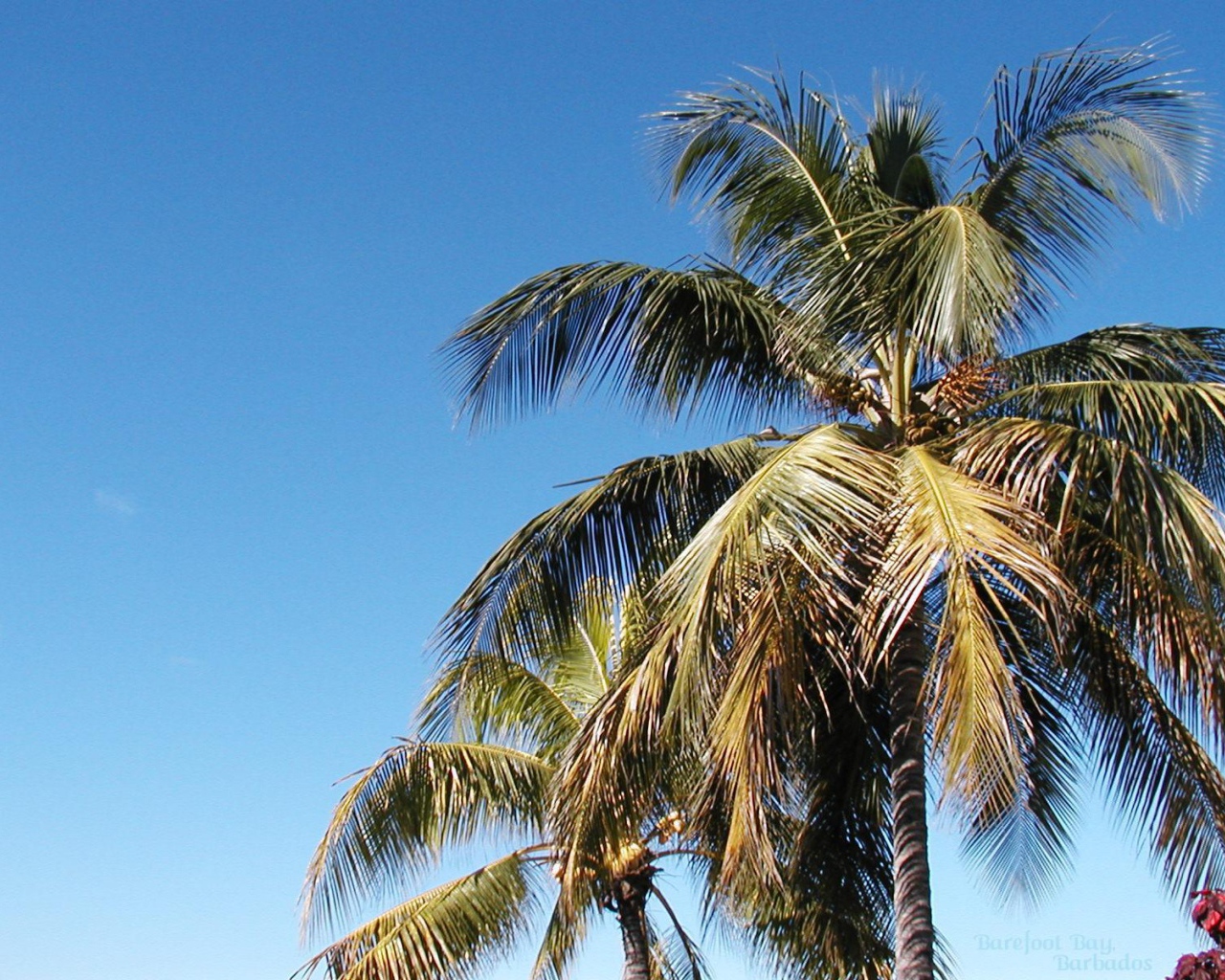Замечательное место в Барбадос
