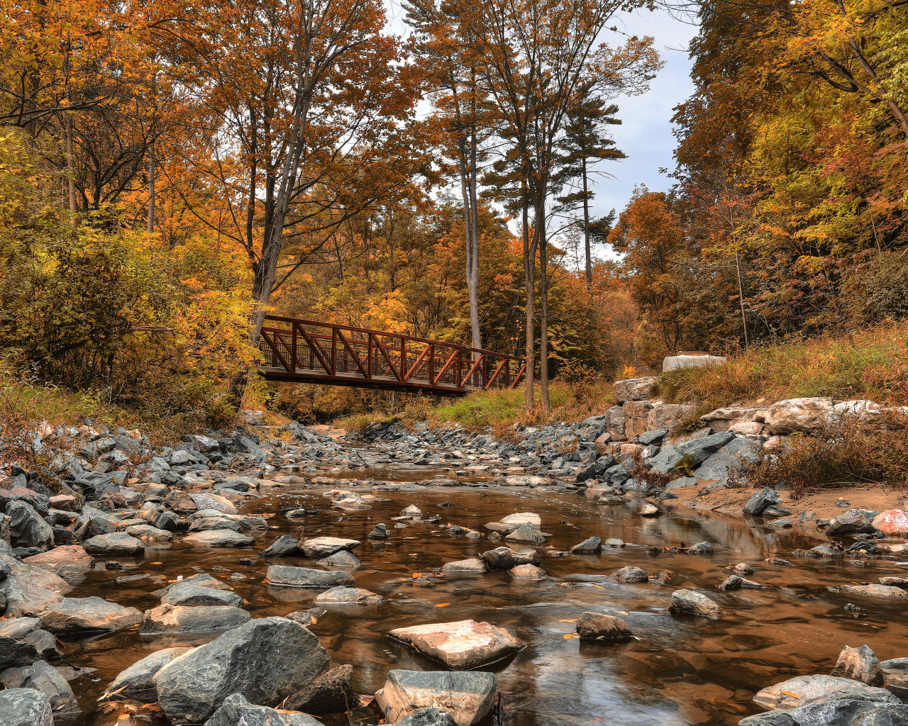 Красивый парк в Торонто, Канада