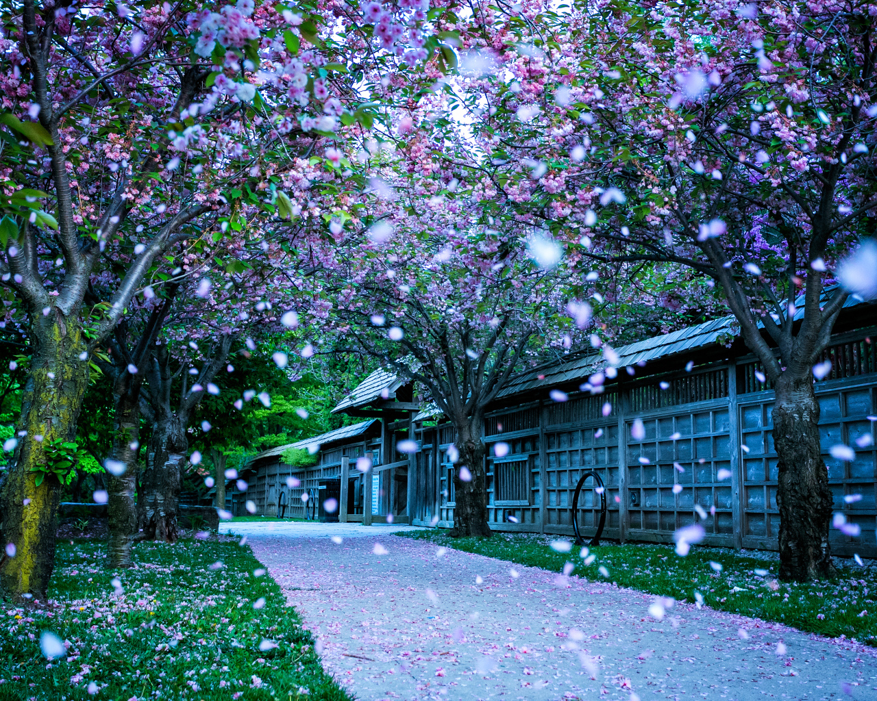 Кария парк в городе Миссисауга, Канада