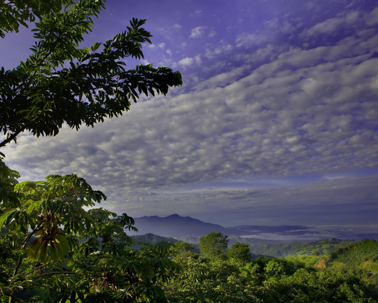 Великолепная страна Коста-Рика