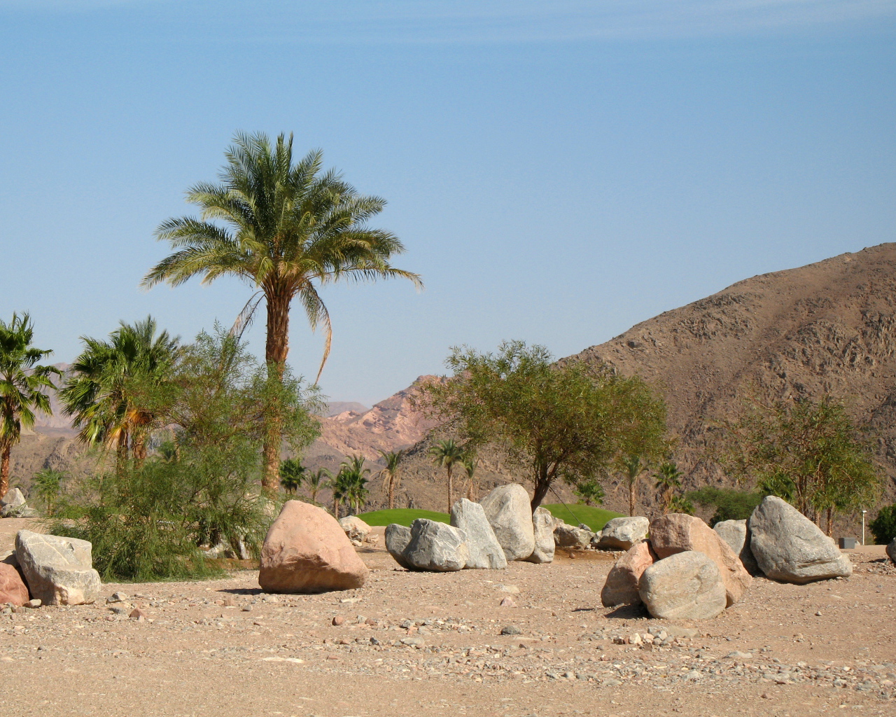 Пальмы на фоне гор на курорте Таба, Египет