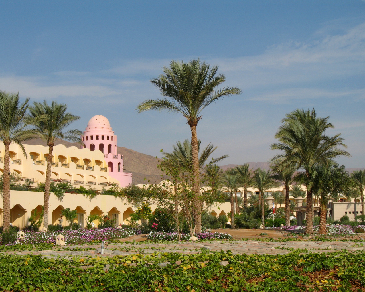 Пальмы в отеле на курорте Таба, Египет