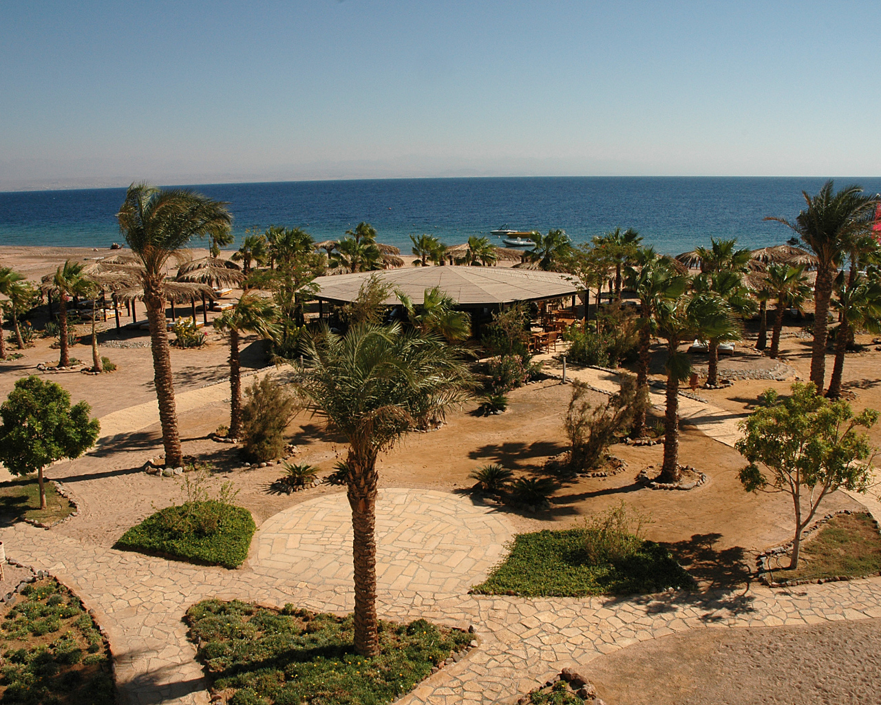 Пальмы на пляже на курорте Таба, Египет
