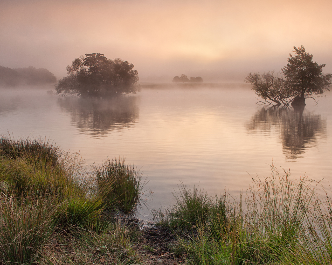 Ричмонд-парк, Суррей, Великобритания