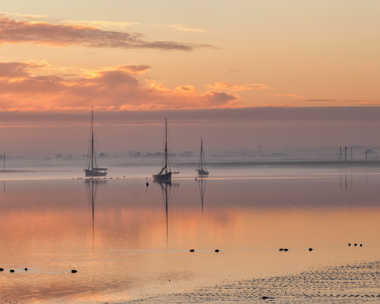 Восход солнца над Молдон, Эссекс, Великобритания