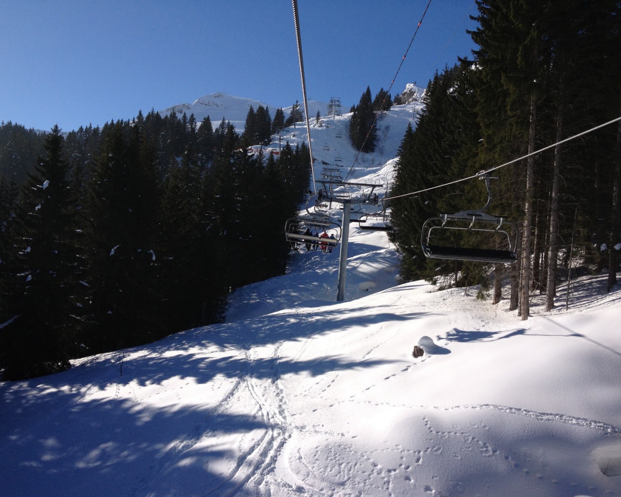 Подъемник среди сосен на горнолыжном курорте Самоен, Франция