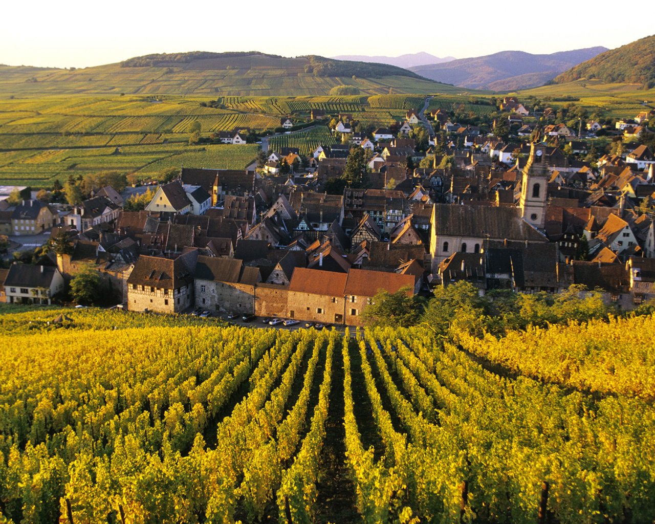Город среди виноградников в Эльзасе, Франция