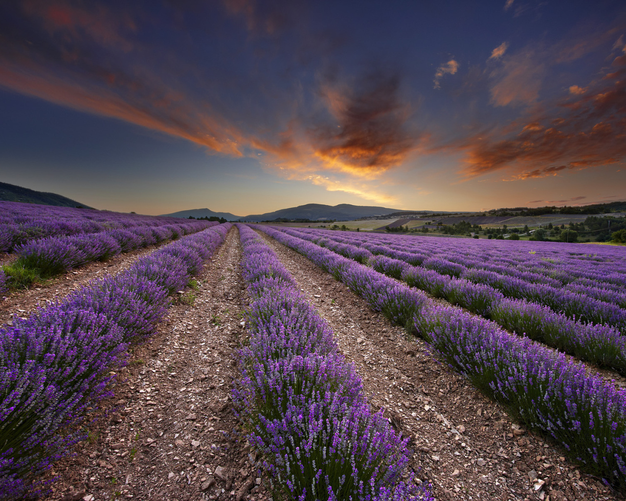 Огненный закат в Провансе, Франция 