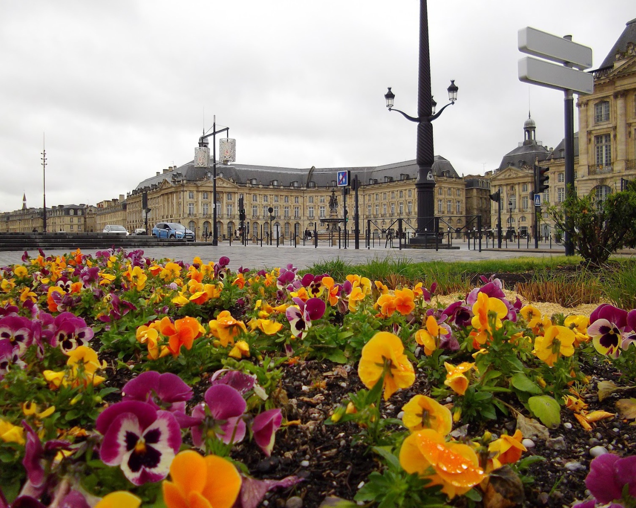 Цветочная клумба в Бордо, Франция