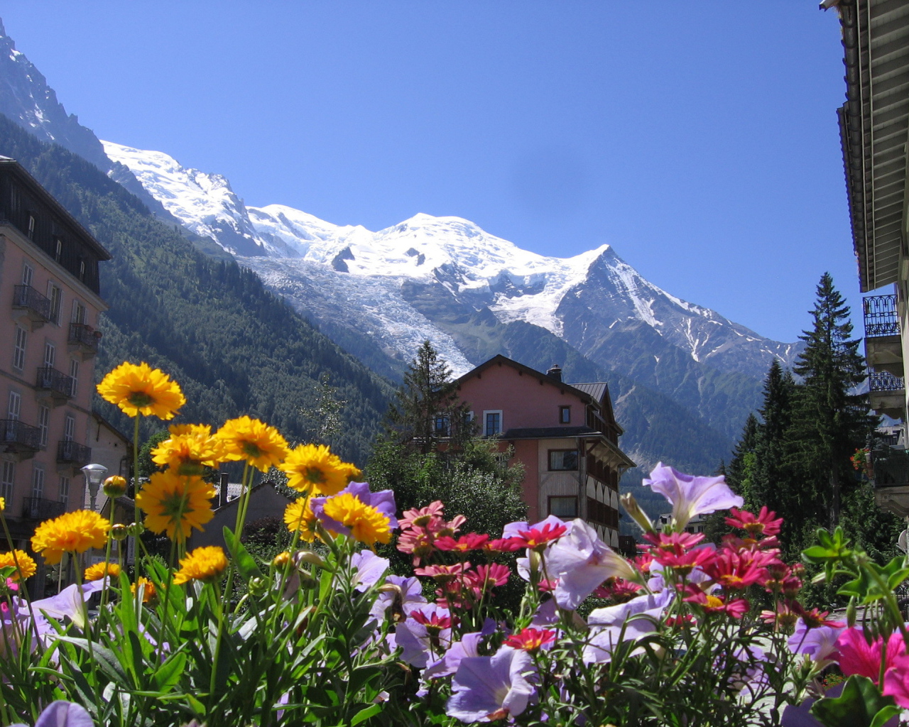 Цветы на курорте Шамони, Франция