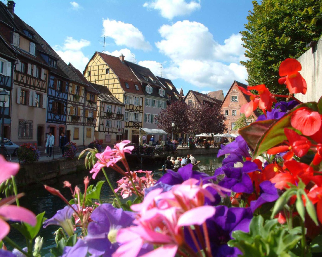 Цветы в Эльзасе, Франция