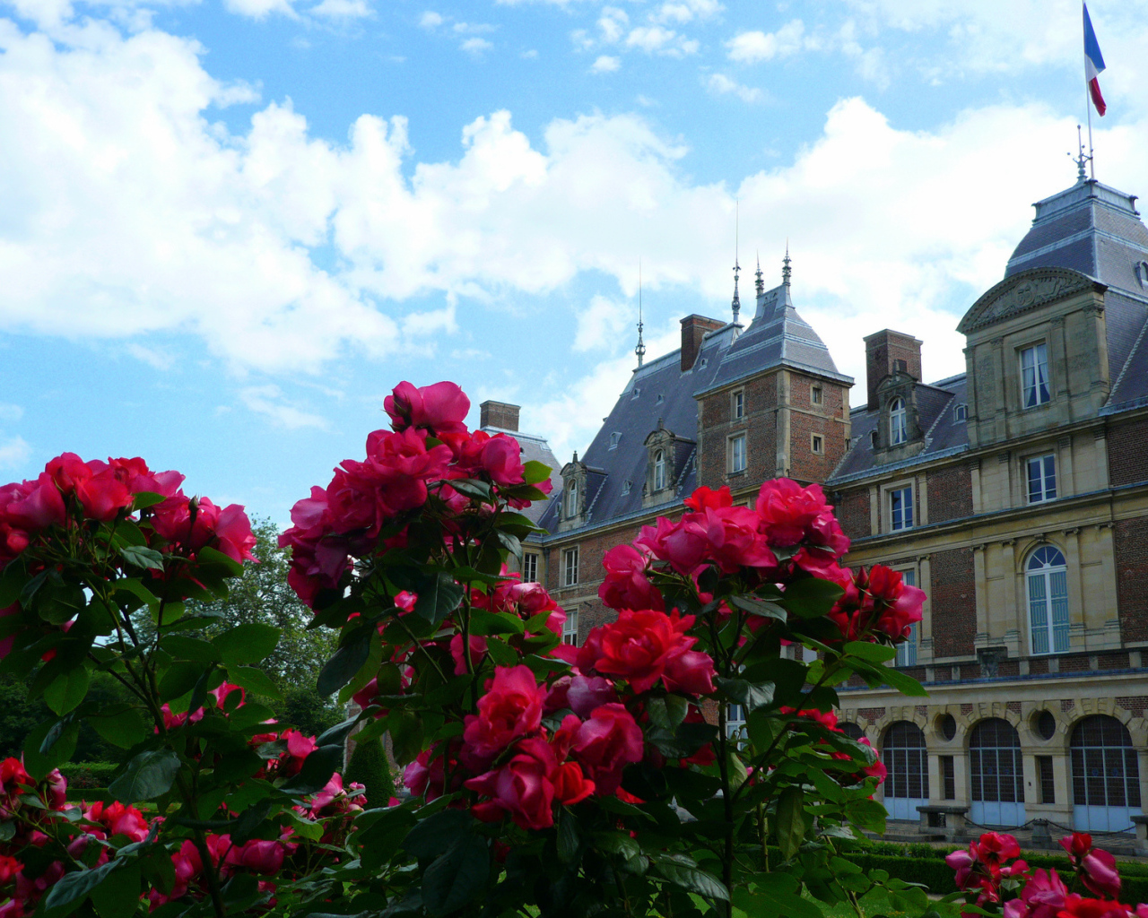 Цветы в Нормандии, Франция