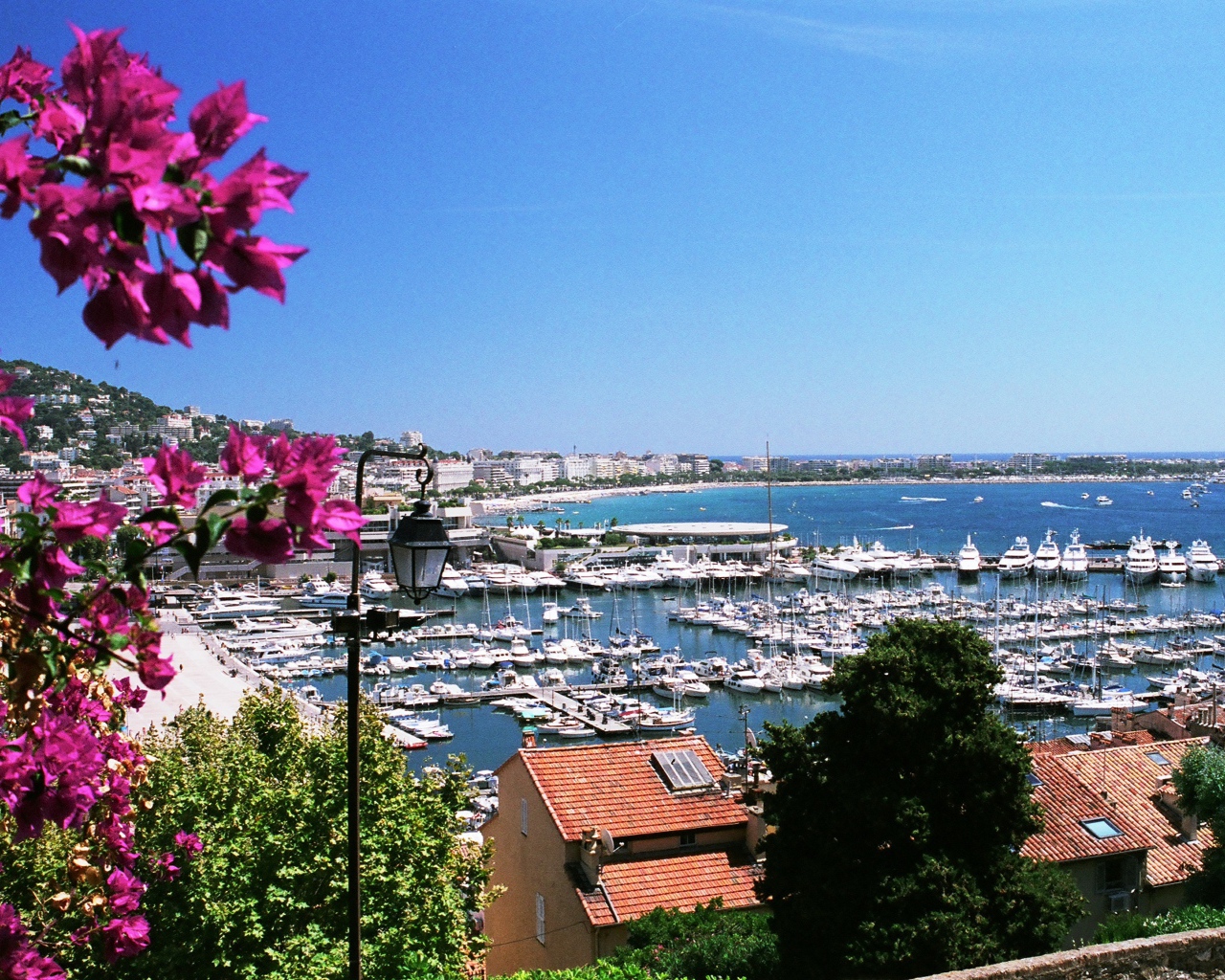 Цветы на фоне порта в Каннах, Франция