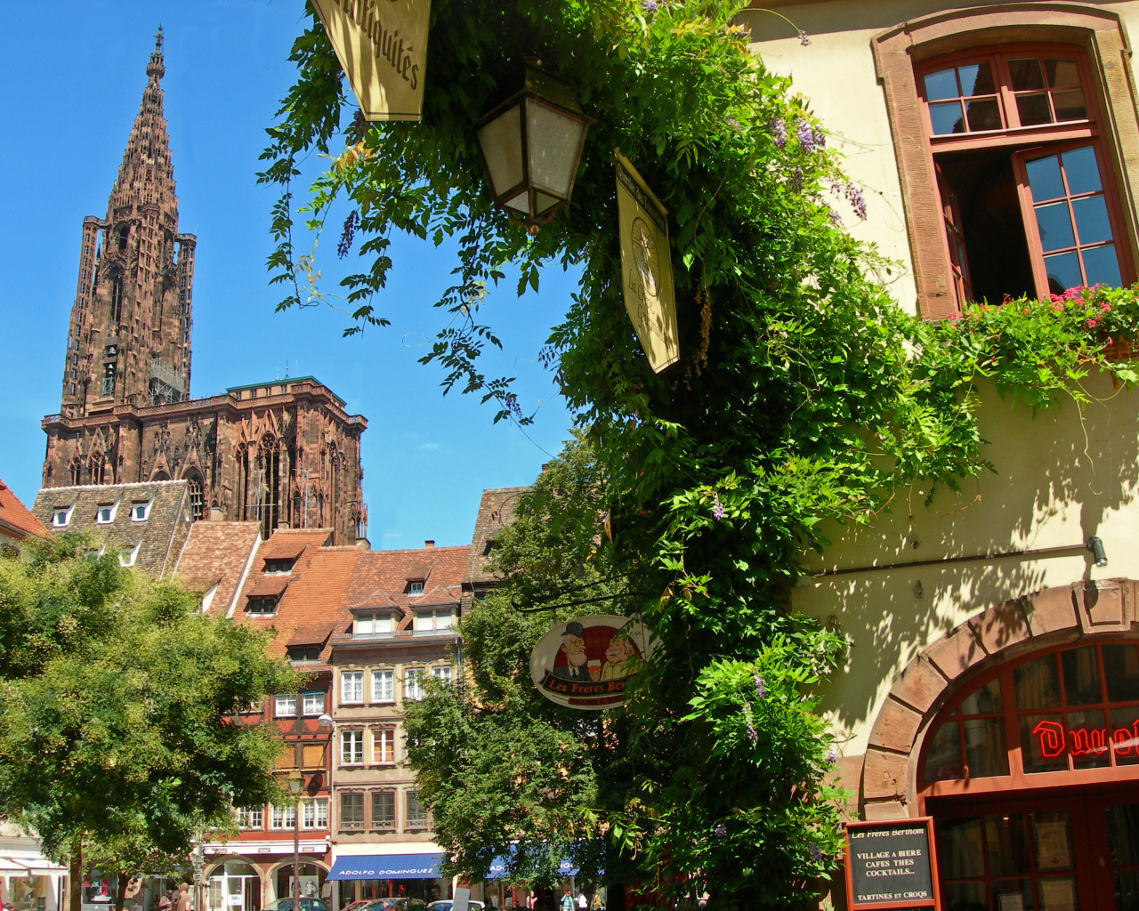 Зелень в городе Страсбург, Франция