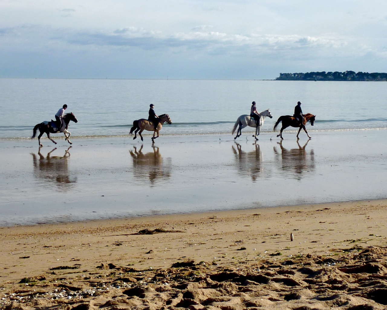 Конная прогулка на курорте Ла Боль, Франция