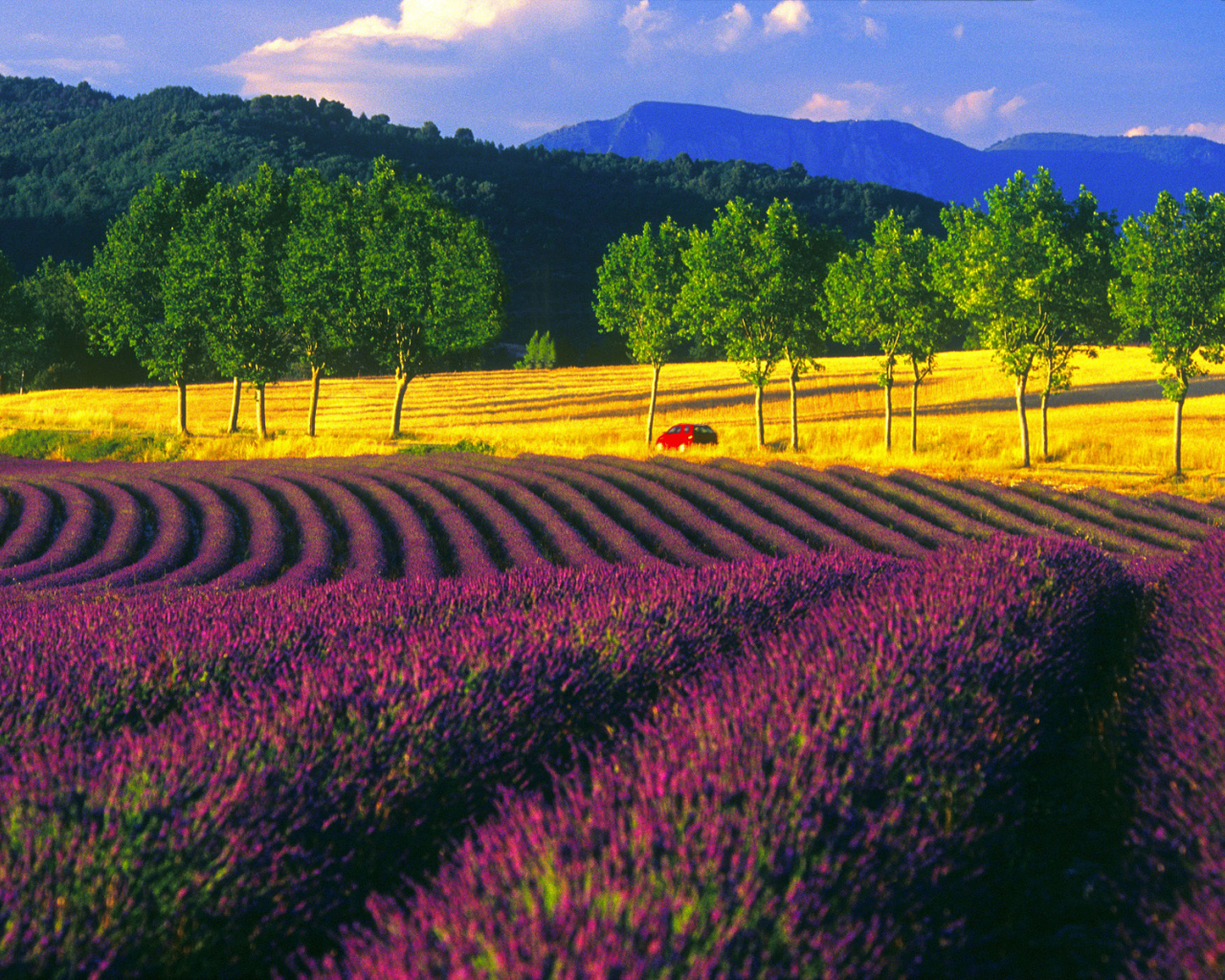 Пейзаж в Провансе, Франция