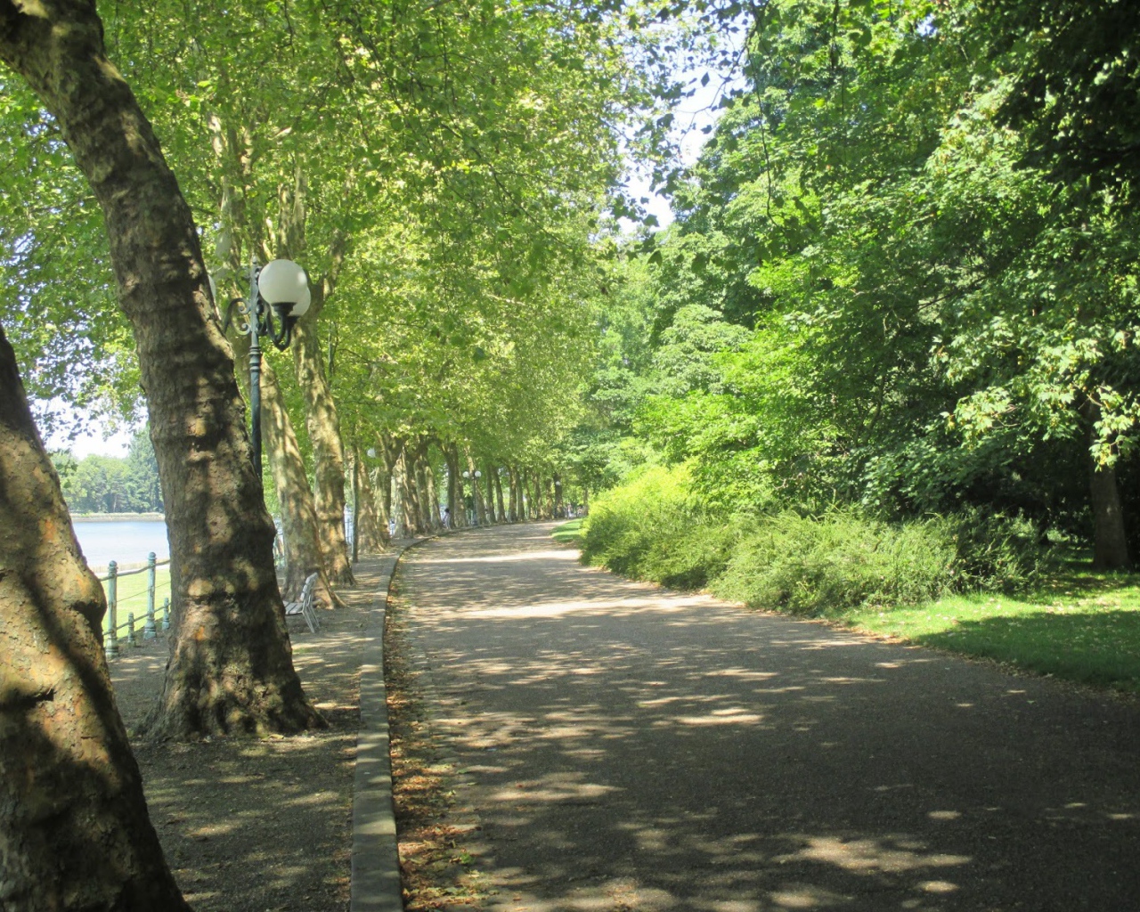 Парковая аллея в городе Виши, Франция